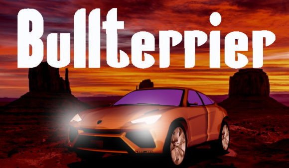 Bullterrier Display Font for Bold Handmade Products