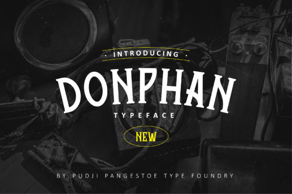 Donphan: A Bold, Playful Display Font That Demands Attention