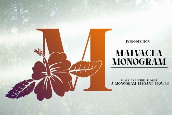Malvacea: A Display Font That Anchors Editorial Mood