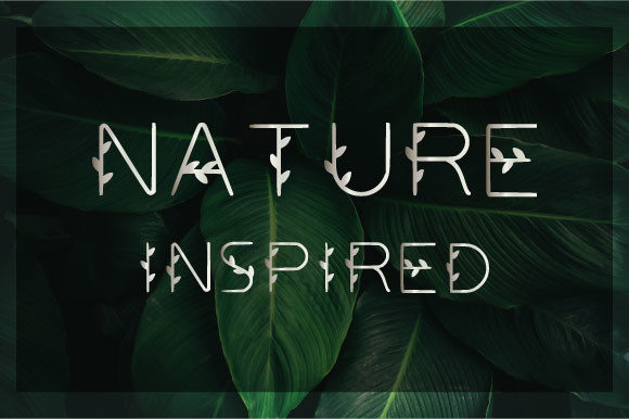 Nature Inspired Font: A Delicate Display Typeface for Thoughtful Branding