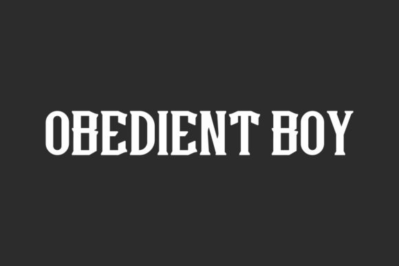 Obedient Boy: A Bold Display Font for Small Business Branding