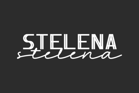 Stelena: A Display Font That Lifts Your Digital Brand